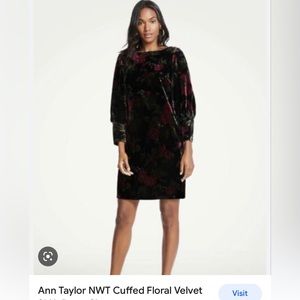 Ann Taylor Velvet Floral long sleeve dress